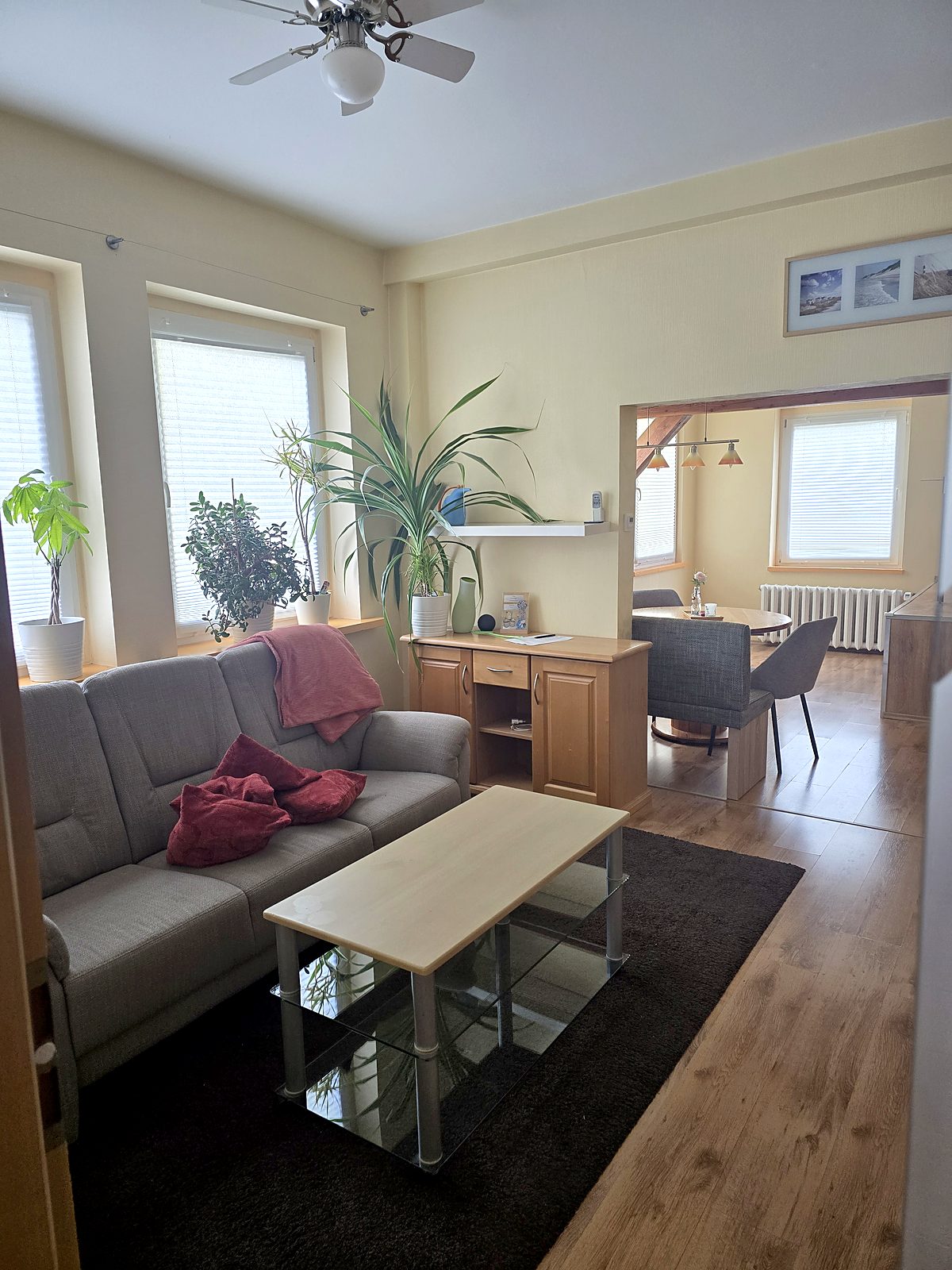 Wohnzimmer mit gemütlichem Sofa, Pflanzen und Essbereich